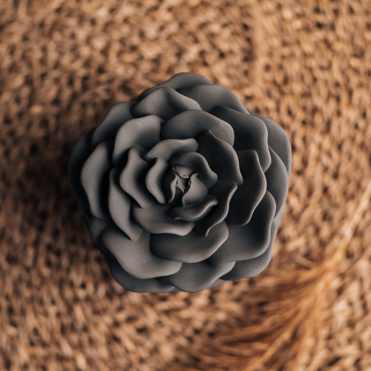 Bloom - siltais kakao