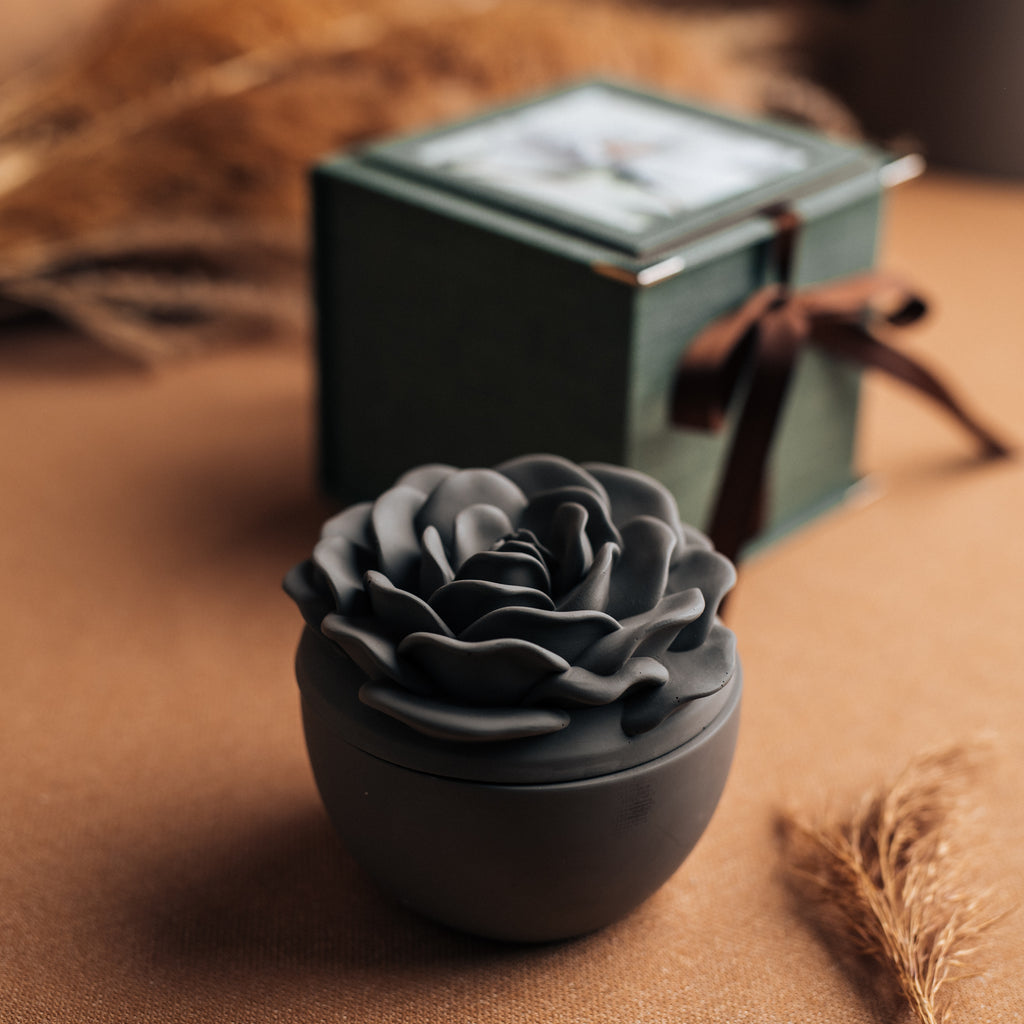 Bloom (bez sveces)